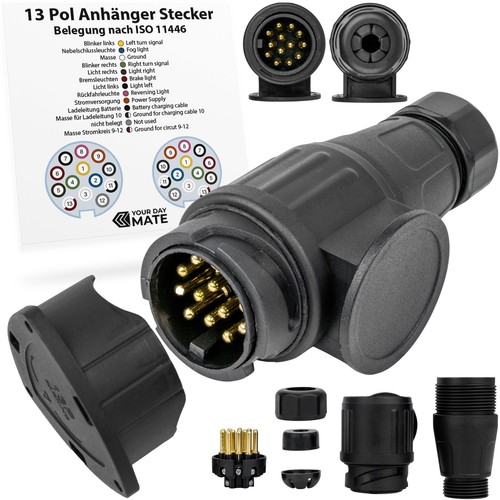 Poliger anhänger stecker - 13,
